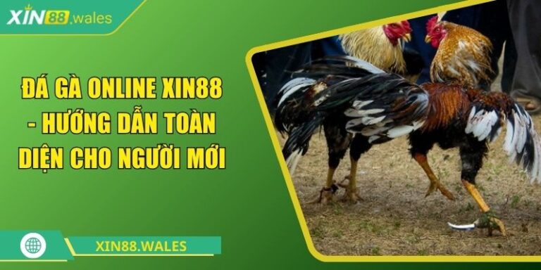 Đá Gà Online Xin88 - Hướng Dẫn Toàn Diện Cho Người Mới 1 đá gà online Xin88